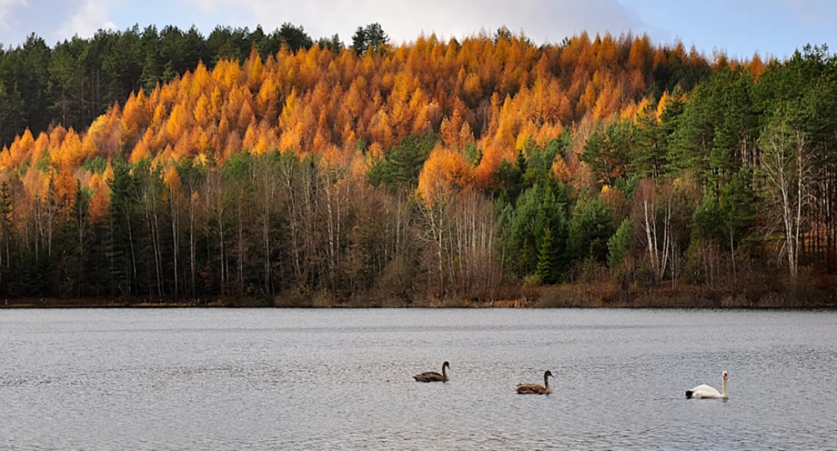 Urlop na Kaszubach – dlaczego warto?