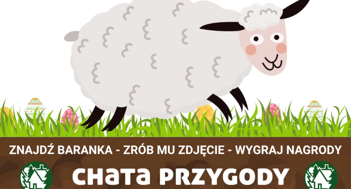 Wielkie Szukanie Baranka w Nowym Targu