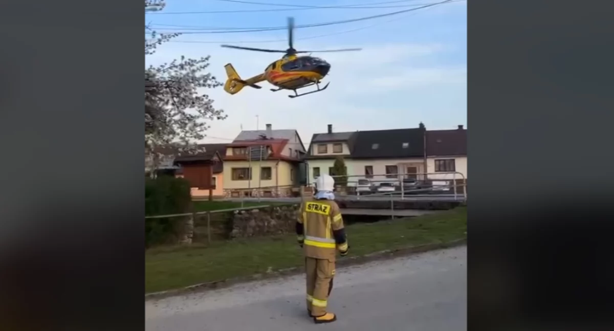 Owczarek niemiecki pogryzł dziecko w Krempachach - zabrane śmigłowcem do szpitala