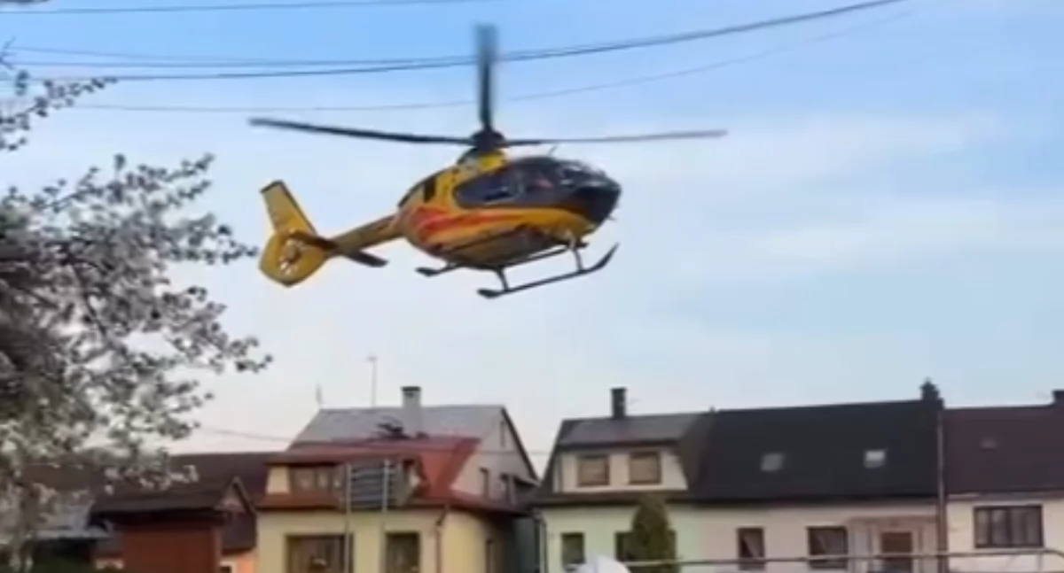 Owczarek pogryzł 8-letniego chłopca - policjanci informują jak do tego doszło