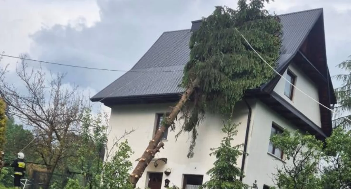 Powalone drzewo uszkodziło dom