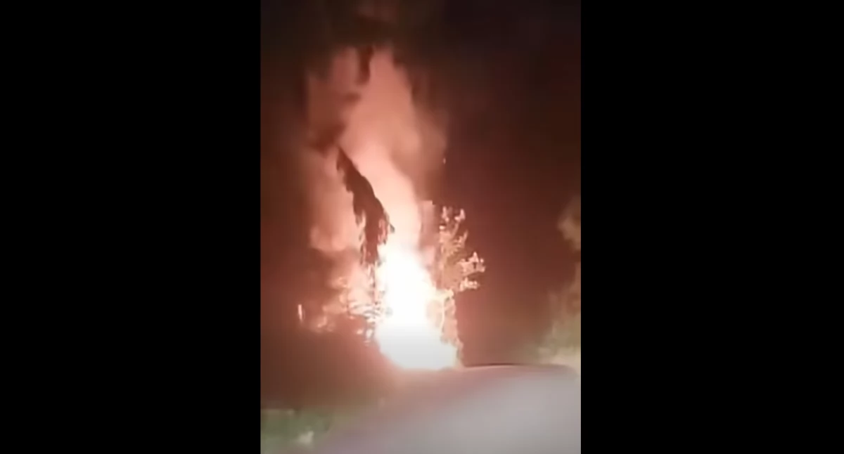 Pożar przy drodze w terenie leśnym - szybka interwencja strażaków 