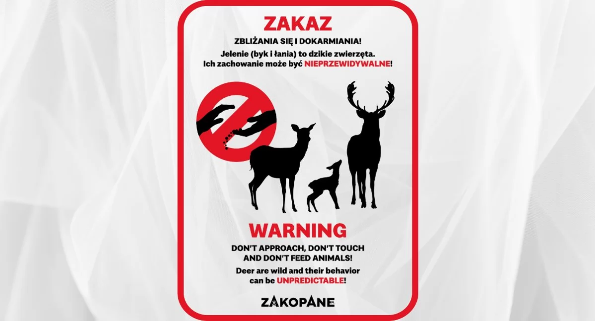 Nie dokarmiaj dzikich zwierząt – to szkodzi im, a nie pomaga