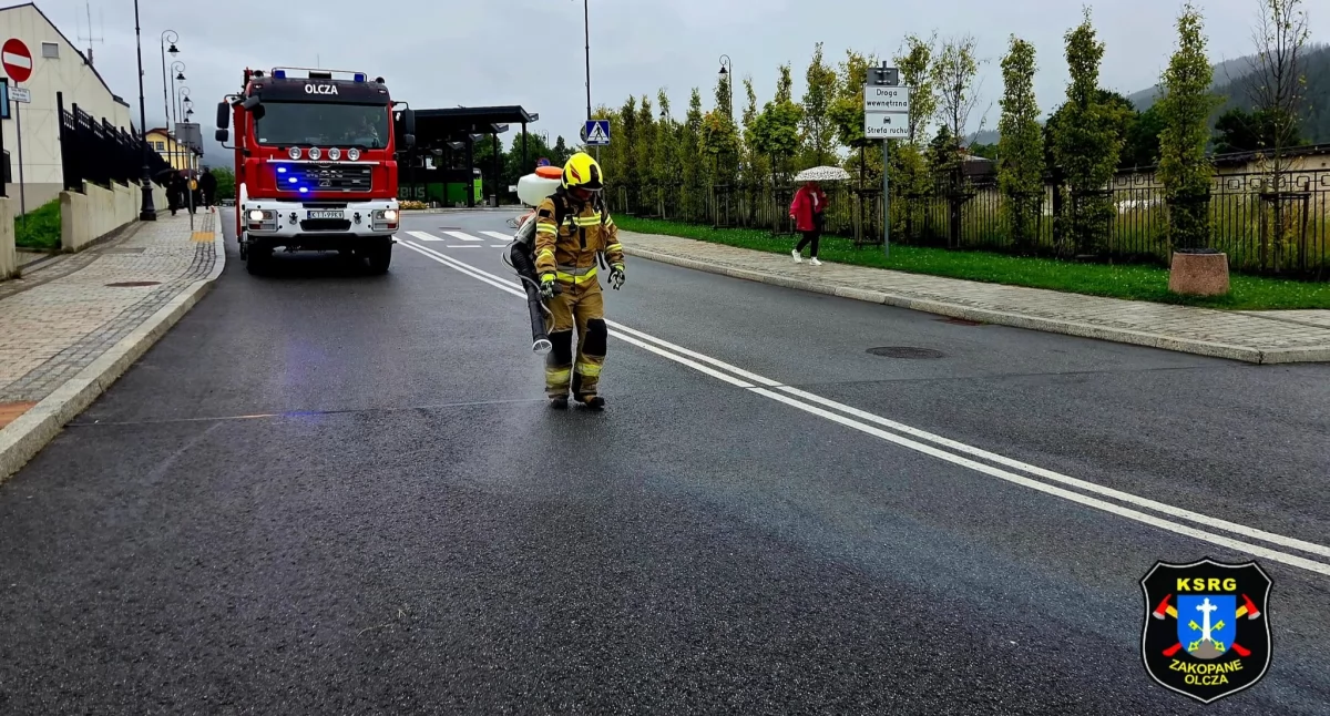 Plamy ropy na ulicach Zakopanego - policja namierzyła i ukarała sprawcę zanieczyszczenia