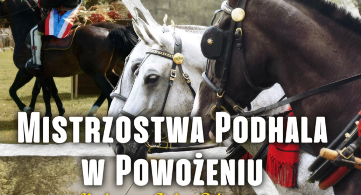 Mistrzostwa Podhala w Powożeniu już 15 sierpnia na Górnej Równi Krupowej w Zakopanem