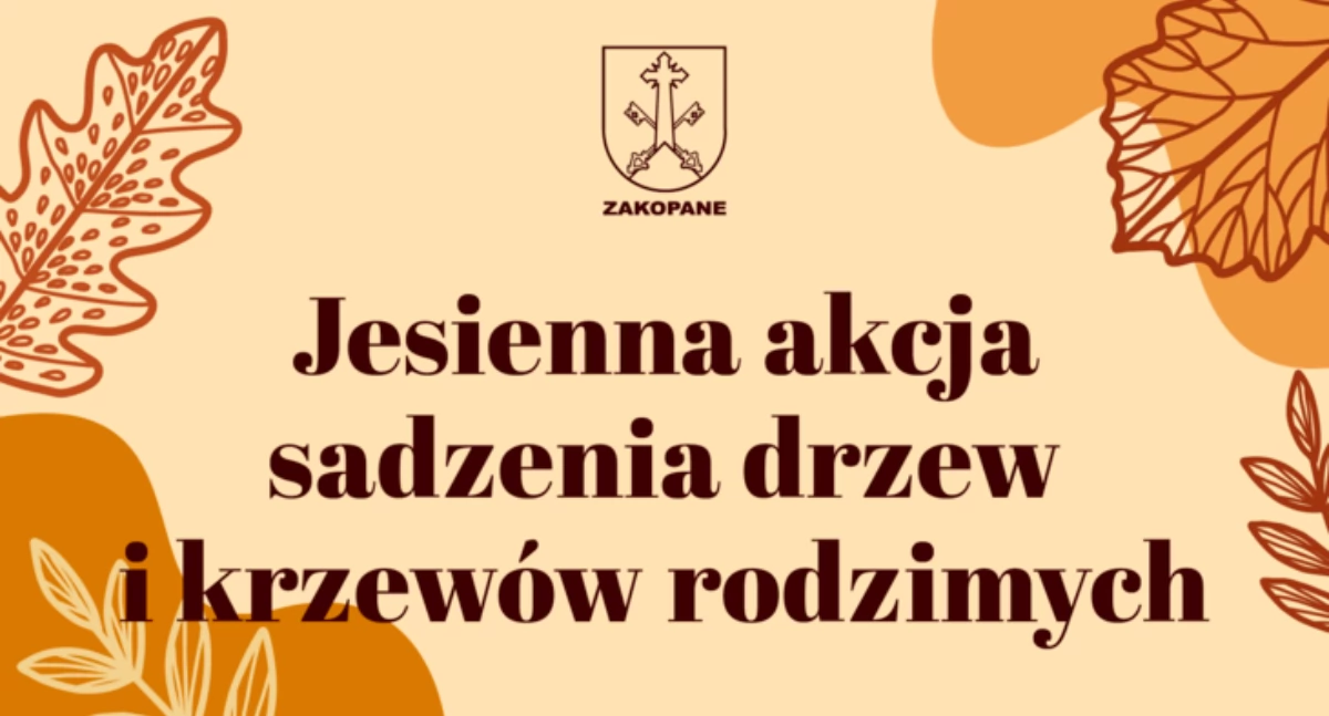 Zakopane rozdaje sadzonki drzew i krzewów za odpady – rusza jesienna akcja ekologiczna