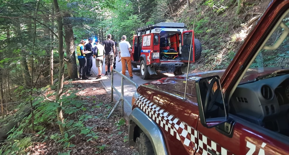Wypadek w Pieninach – GOPR i słowaccy ratownicy pomogli dziecku