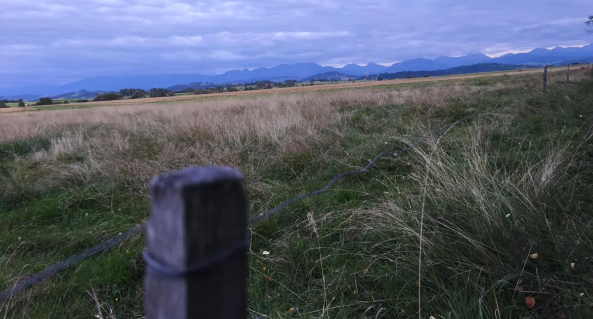 Okradli rolników - z pól zniknęły akumulatory i pastuch