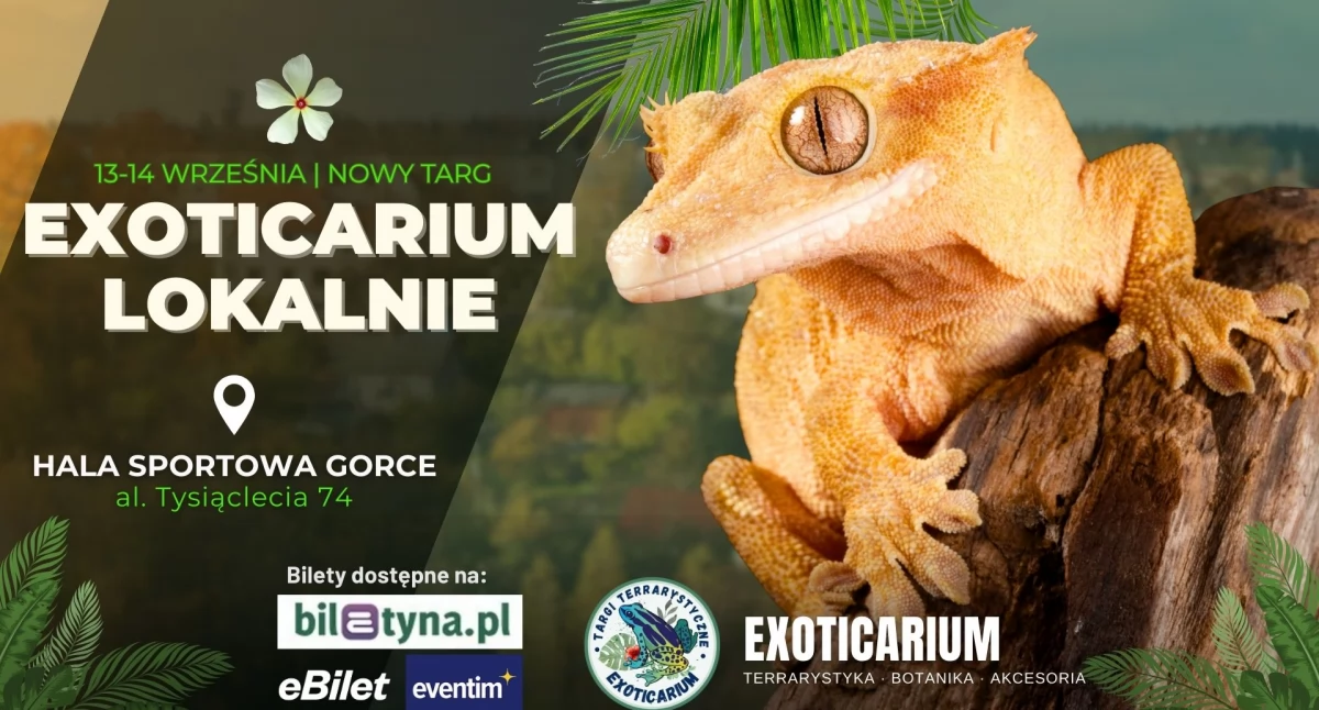 Egzotyczne zwierzęta w Nowym Targu - Exoticarium Lokalnie już we wrześniu
