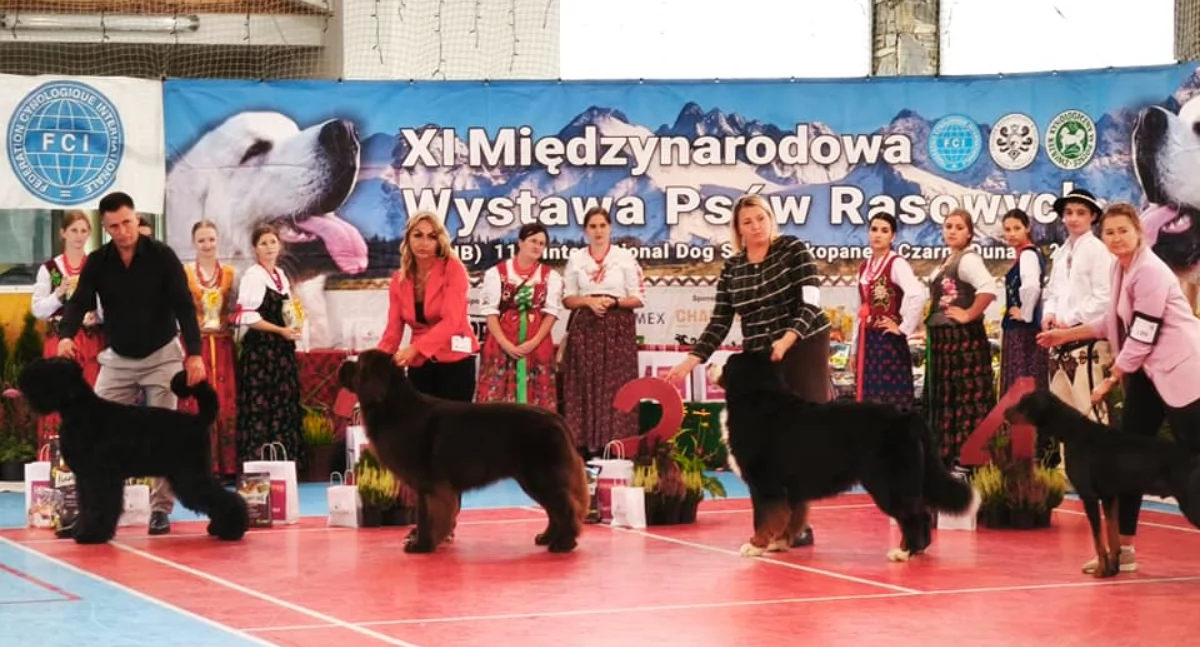 Rozpoczęła się XI Międzynarodowa Wystawa Psów Rasowych w Czarnym Dunajcu