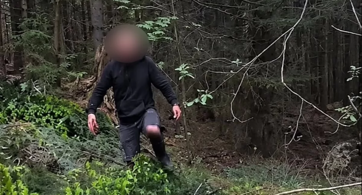  Przyłapany w lesie pod Nowym Targiem. Nielegalny proceder zakończył się wysokimi mandatami