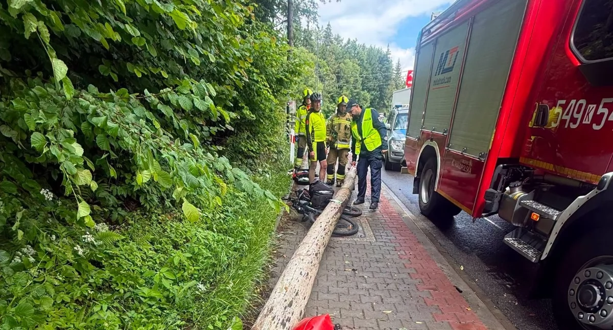 Drzewo spadło na rowerzystów w Białce Tatrzańskiej. Dwie osoby zostały poszkodowane