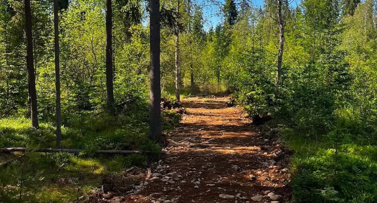 Park Bioróżnorodności nabiera kształtów - powstaje zielona wizytówka Czarnego Dunajca