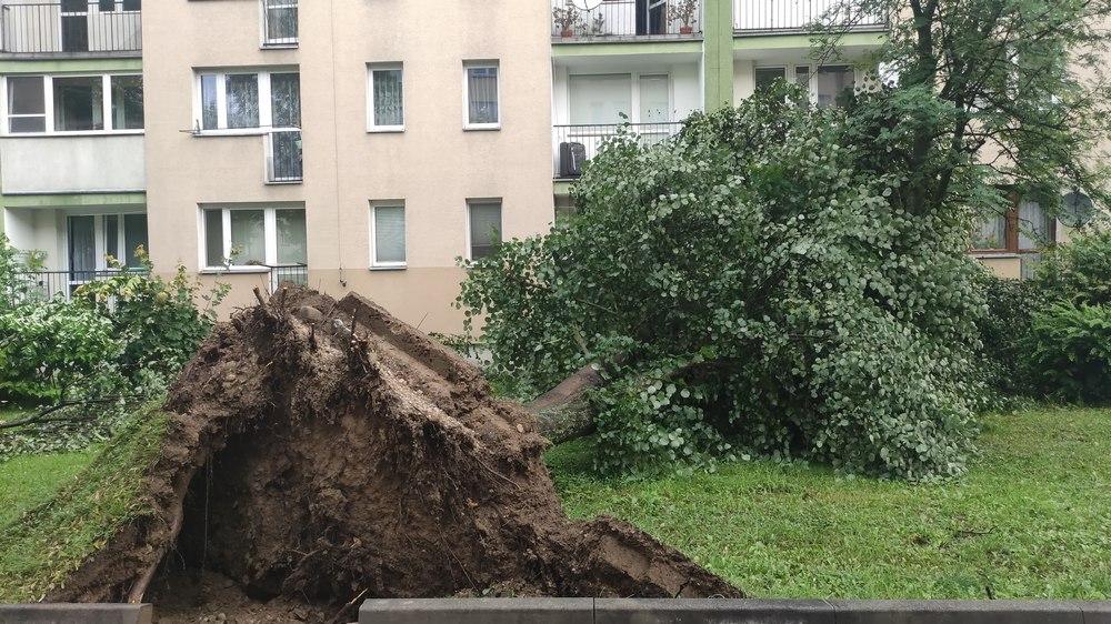 To mogła być trąba powietrzna - mówią mieszkańcy Nowego Targu (zdjęcia)