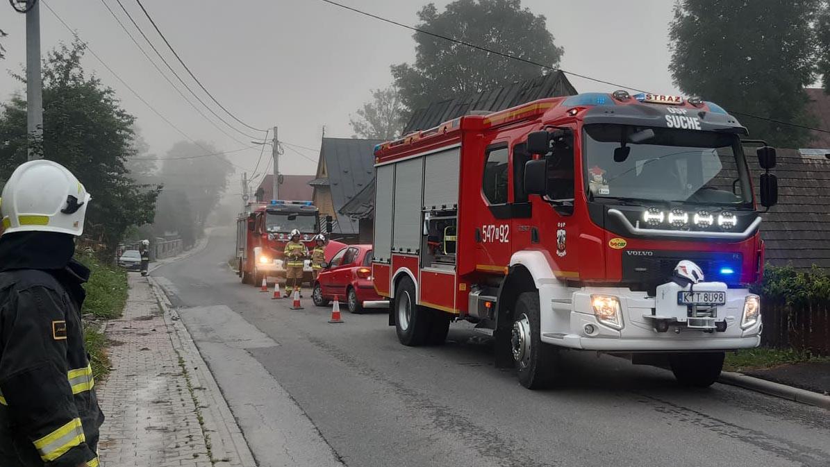Kucyk padł martwy po zderzeniu z samochodem