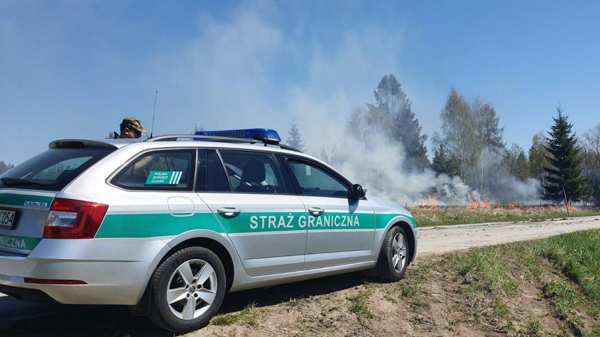 Reakcja strażników granicznych pozwoliła uniknąć pożaru traw i lasu
