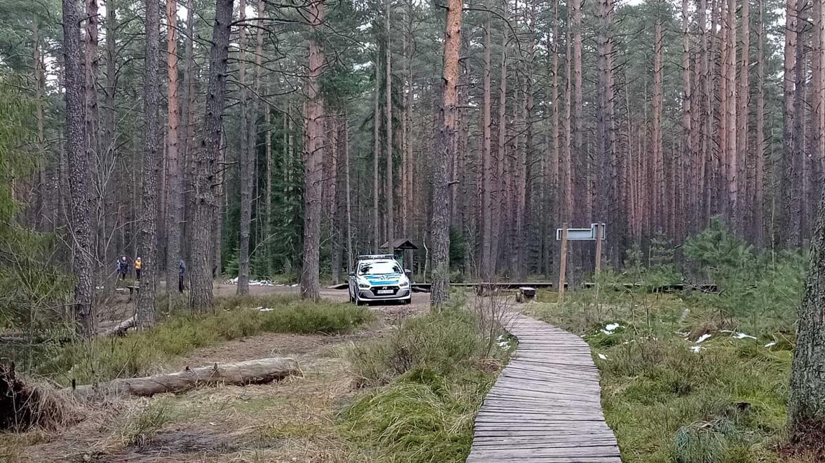Zwłoki w Borze na Czerwonem w Nowym Targu