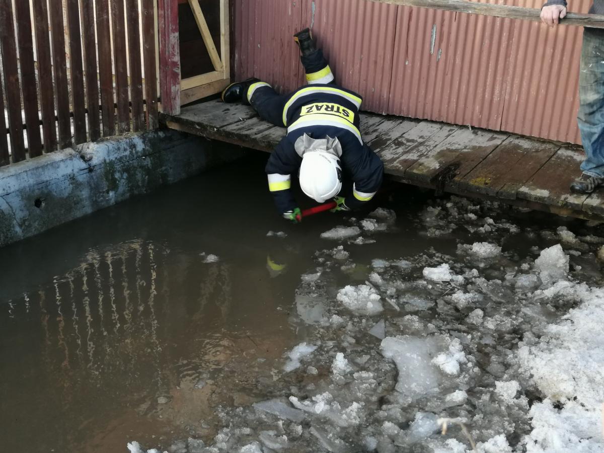 Kry problemem w Czarnym Dunajcu (zdjęcia)