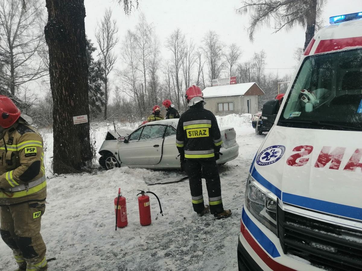 Samochód osobowy rozbił się na drzewie