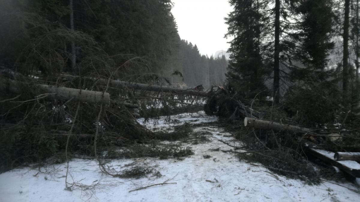 Droga do Morskiego Oka zamknięta - uwaga na trudne warunki w Tatrach