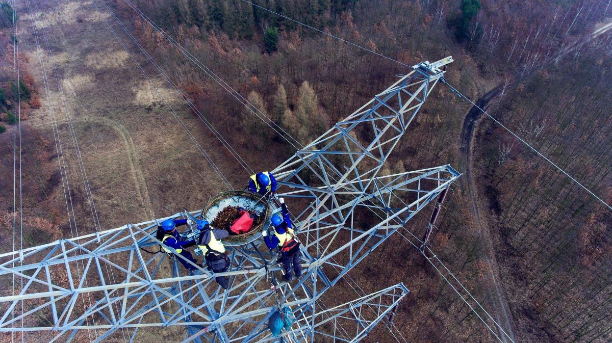 PSE i Lasy Państwowe ponownie zadbają o bezpieczeństwo rybołowów