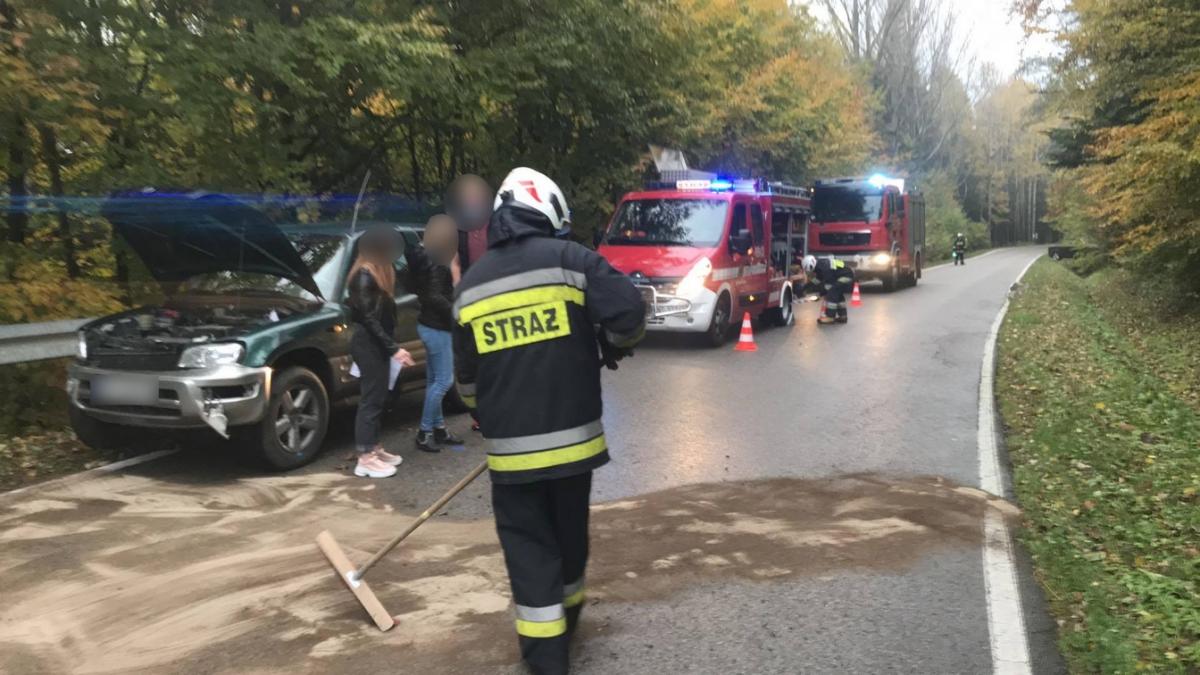 Samochód wpadł w barierki (zdjęcia)