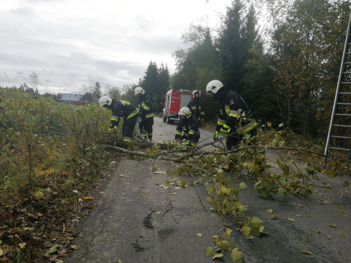 Gałąź wisiała nad drogą - interweniowali strażacy (zdjęcia)