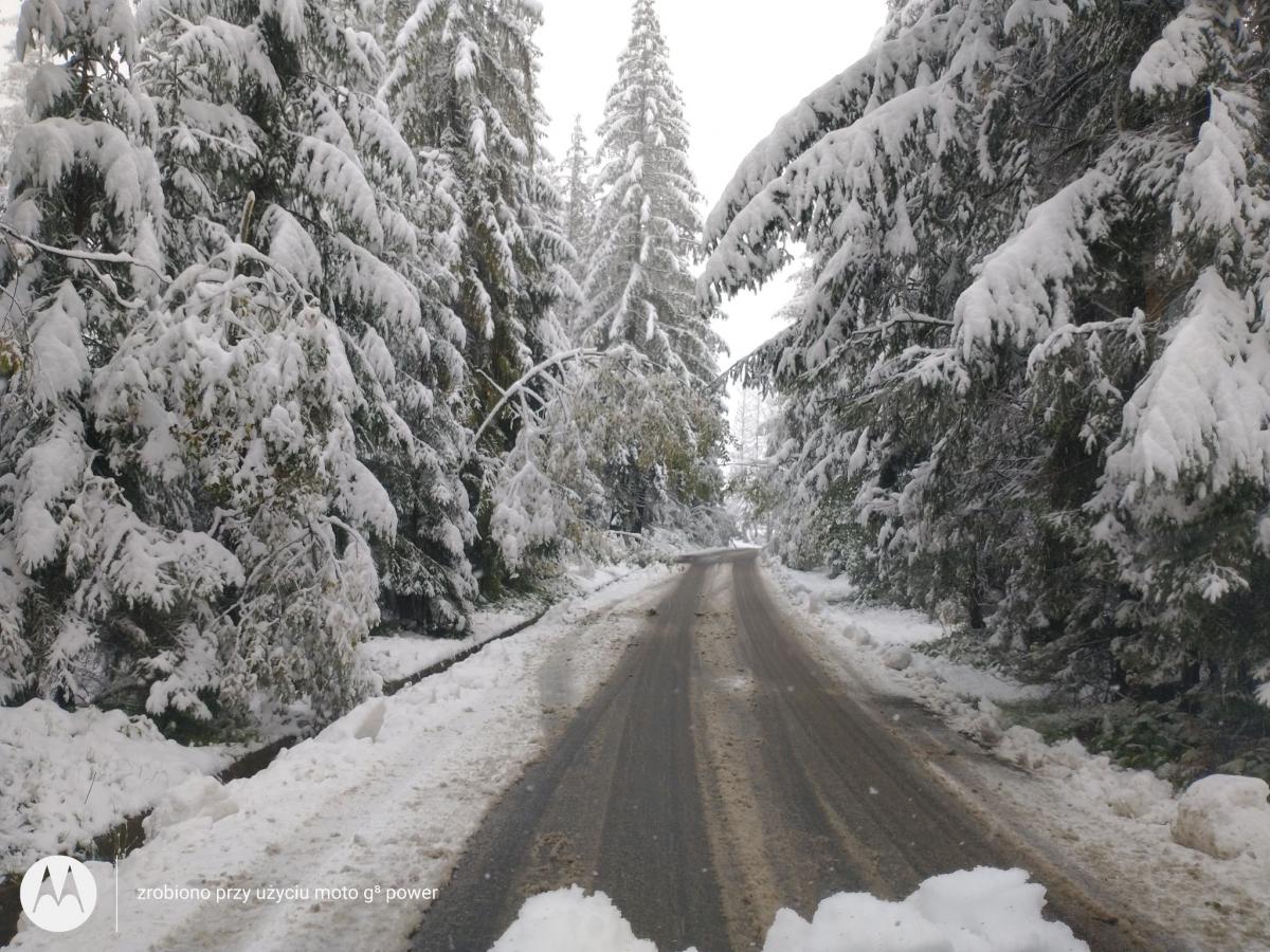 Pierwszy śnieg za oknem - zrobiło się pięknie i niebezpiecznie (zdjęcia)