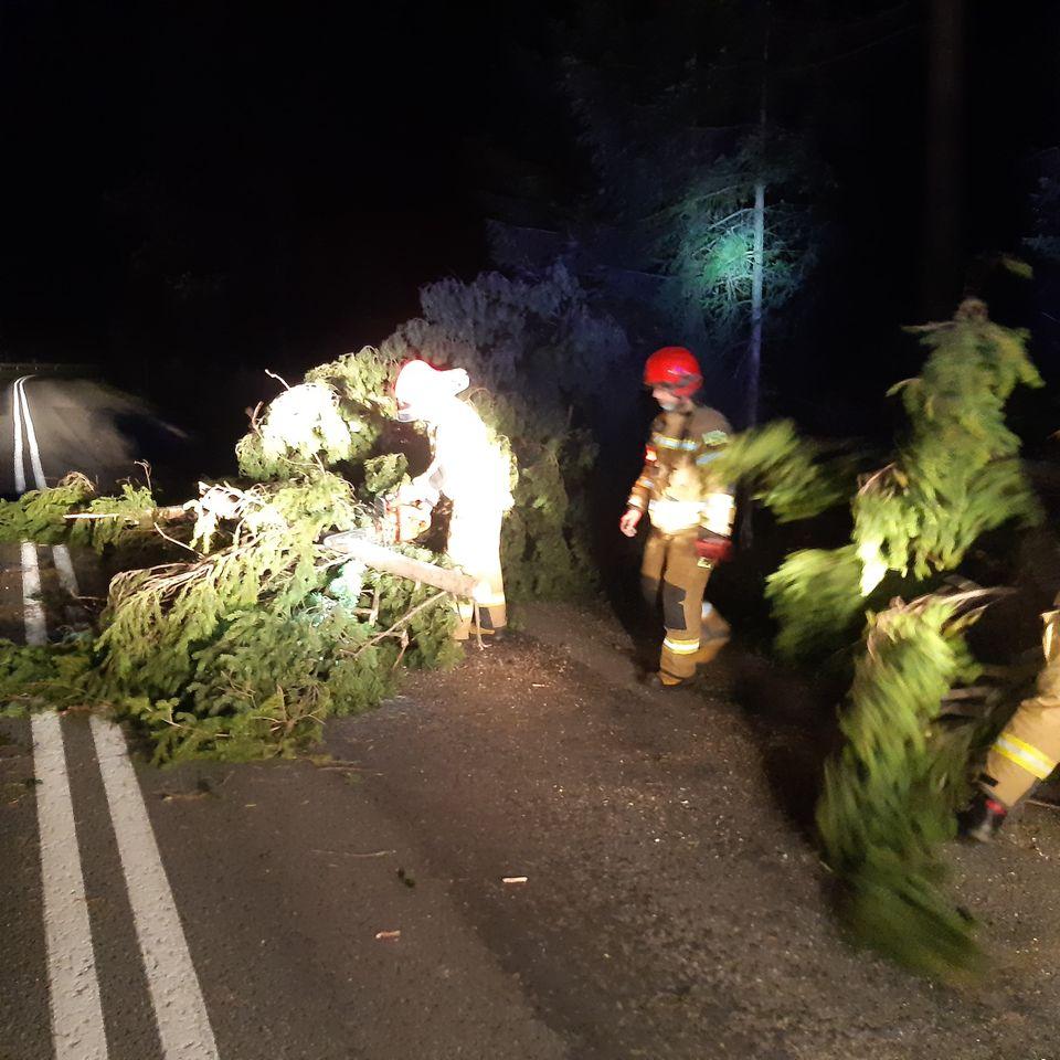 Kilkadziesiąt akcji strażackich w powiecie tatrzańskim - skutki halnego (zdjęcia)