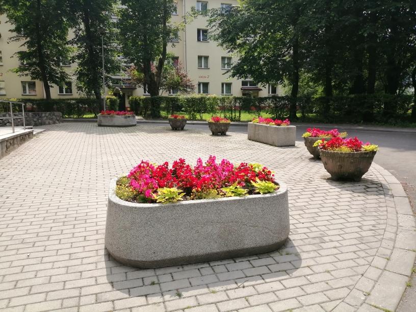 Niecodzienna akcja w Zakopanem – zaadoptuj… donicę!