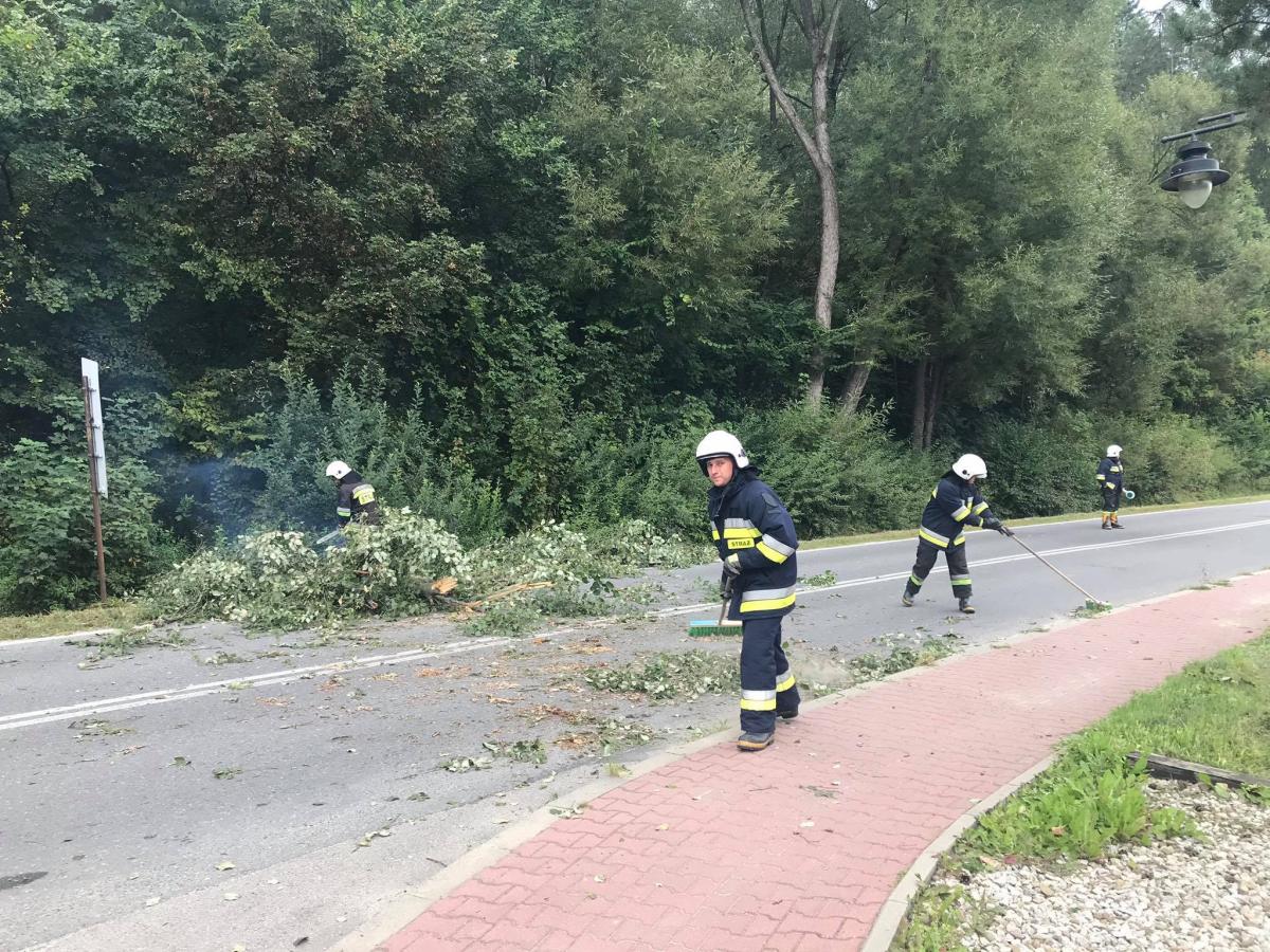 Złamane drzewo na ul. 3 Maja w Niedzicy (zdjęcia)