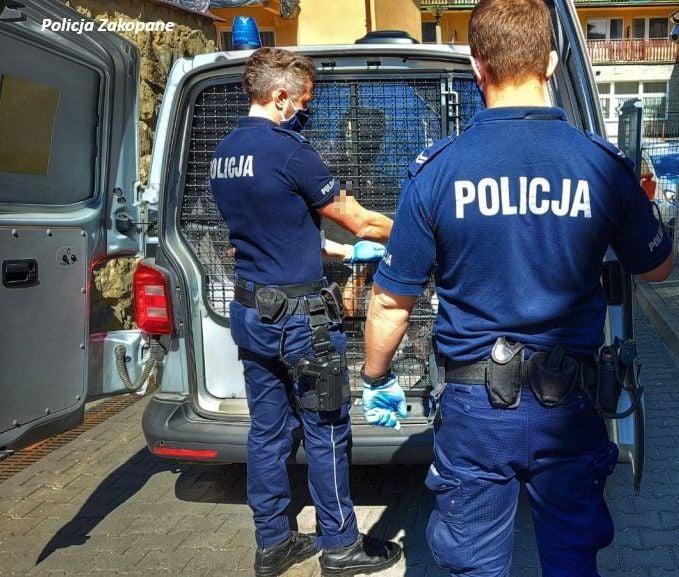 Stracone prawo jazdy, nietrzeźwi turyści, wypadki, zatrzymani do wytrzeźwienia - tatrzańska policja podsumowuje weekend