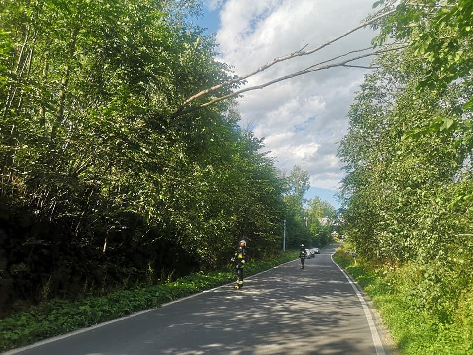 Wyłamane drzewo nad drogą (zdjęcia)