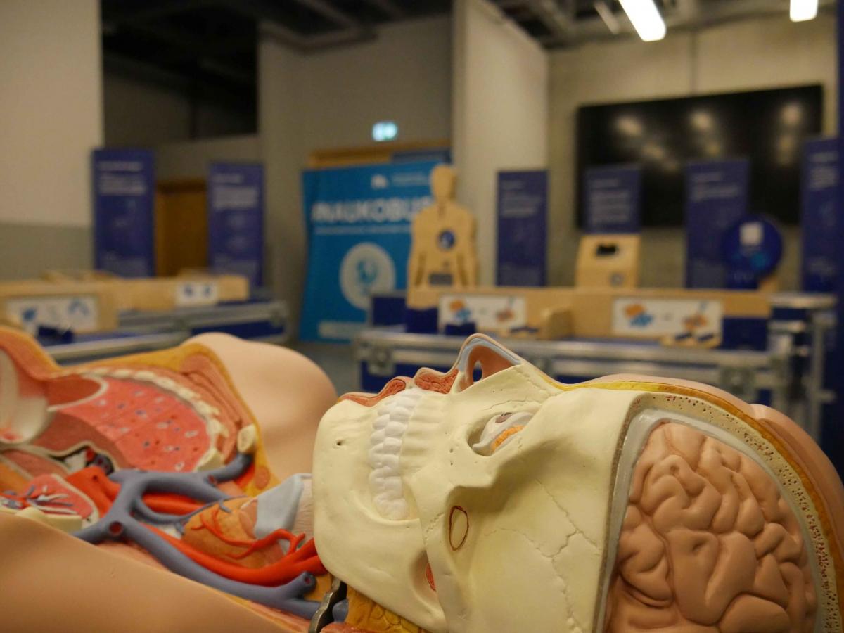 Nauka dla Ciebie jesienią w szkołach