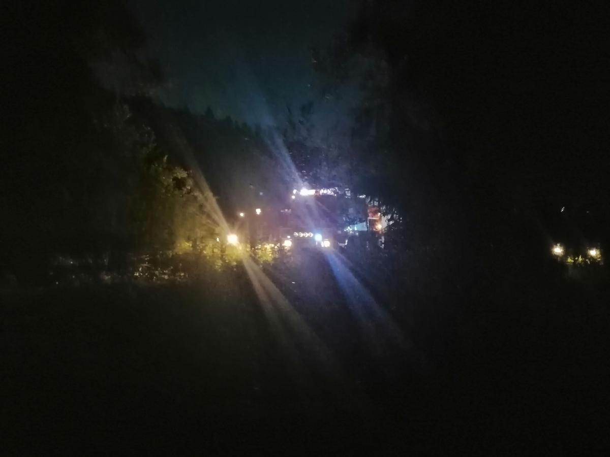 Śmierć starszego mężczyzny podczas pracy w lesie (zdjęcia)