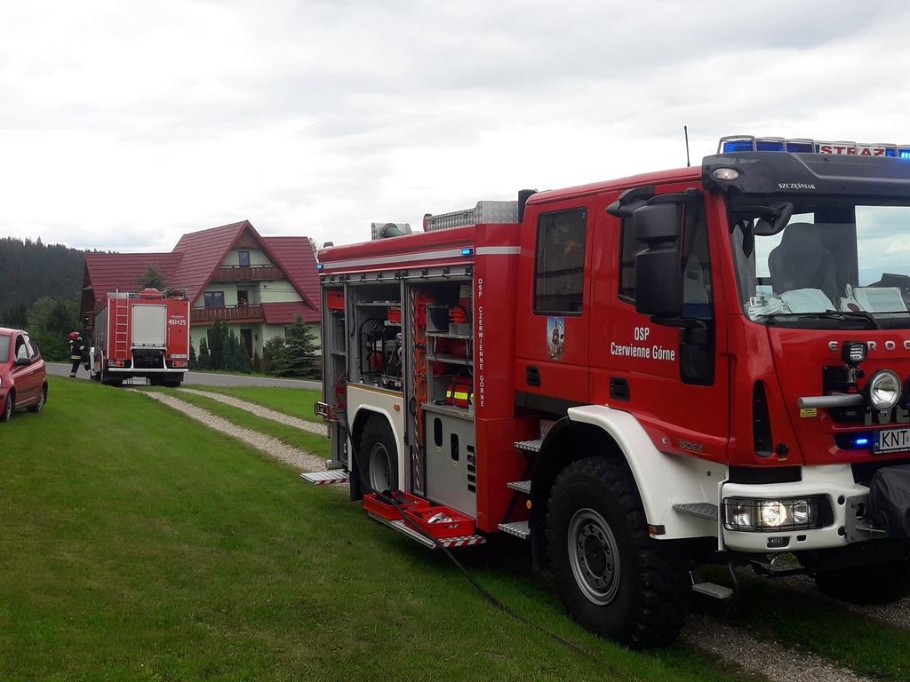 Pożar sadz na Budzu w Czerwiennem Górnem (zdjęcia)
