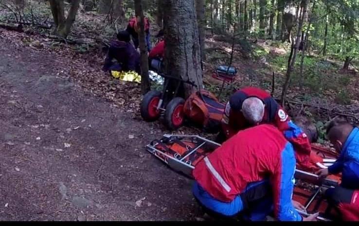 Rowerzystka wbiła sobie gałąź w nogę (zdjecia)