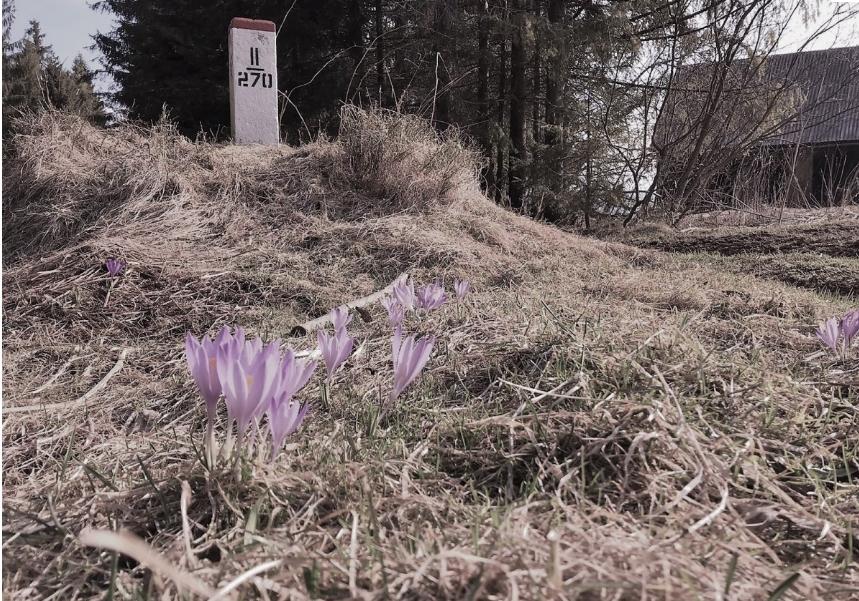 Turysto - przekraczaj granicę tylko w wyznaczonych miejscach.