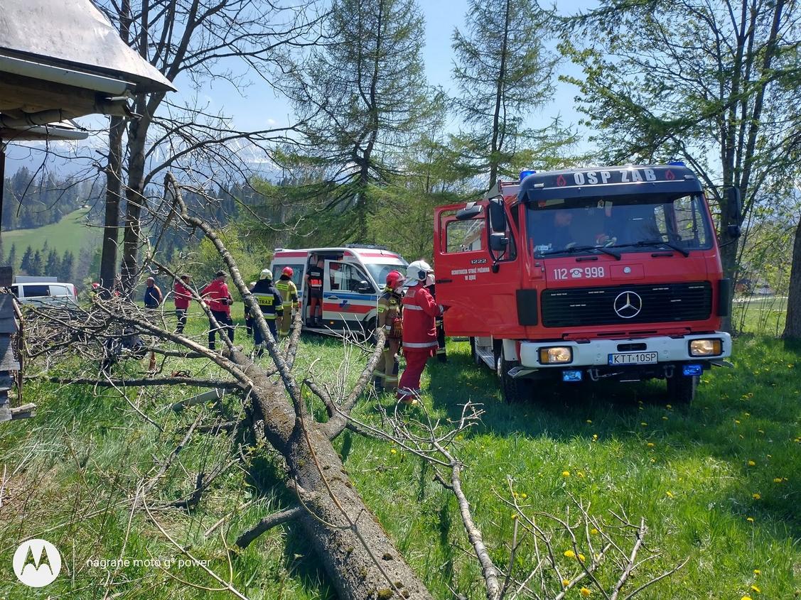 Upadające drzewo ciężko raniło kobietę (zdjęcia)