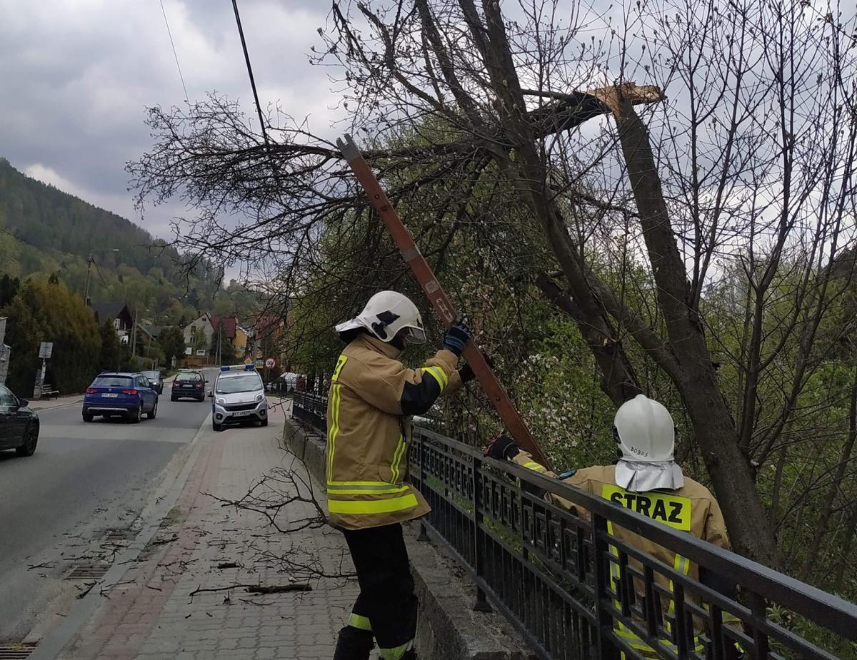 Opady śniegu, podmuchy wiatru, połamane drzewa - majowa pogoda nie rozpieszcza (zdjęcia)