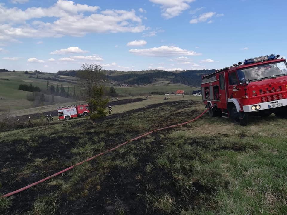 Pożar na łące w Orawce (zdjęcia)