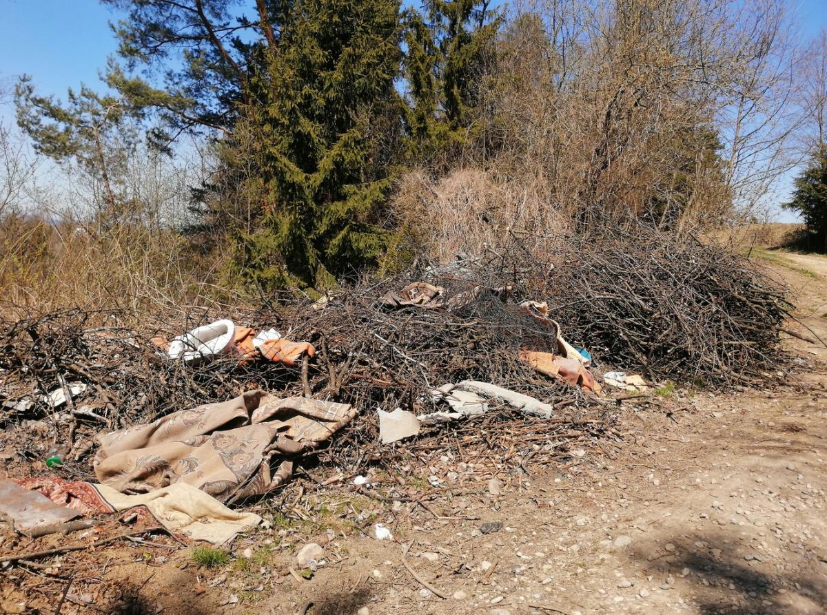 Podczerwone tonie w śmieciach (zdjęcia)