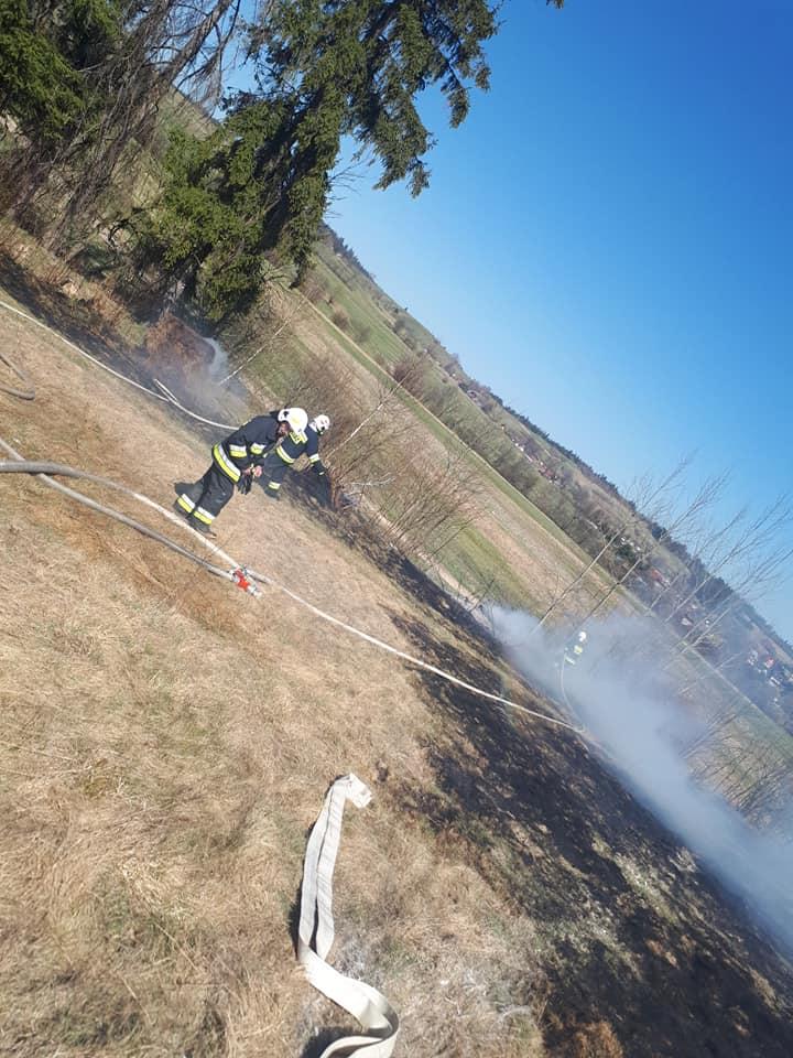 Pożar traw w Pieniążkowicach (zdjęcia i film)