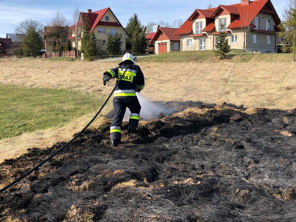 Pożar traw w Piekielniku (zdjęcia)