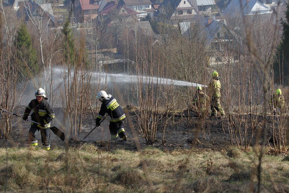 Pożar traw w Nowym Targu (zdjęcia)