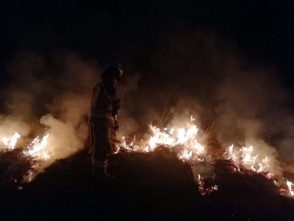 W pożarze traw zginął 80-letni ochotniczanin