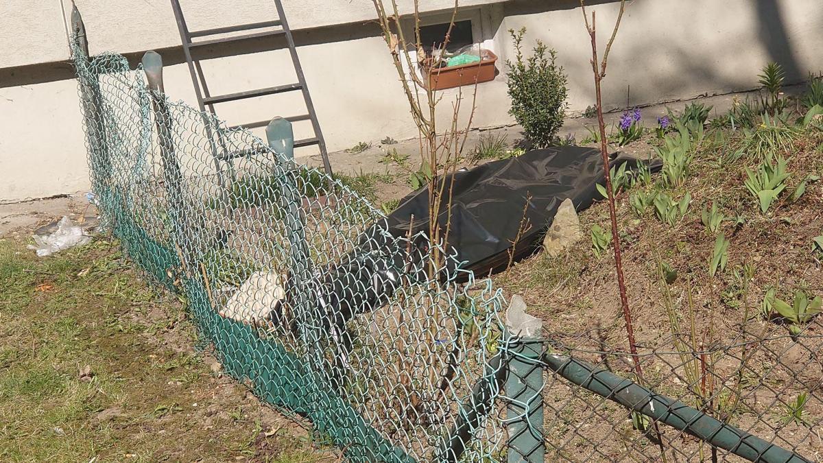 Tragedia w Nowym Targu - mężczyzna zmarł po upadku z trzeciego piętra (zdjęcia)