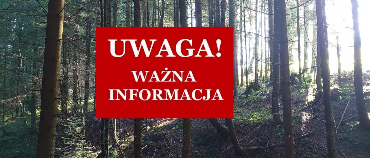 Odwołany zakaz wstępu do lasu