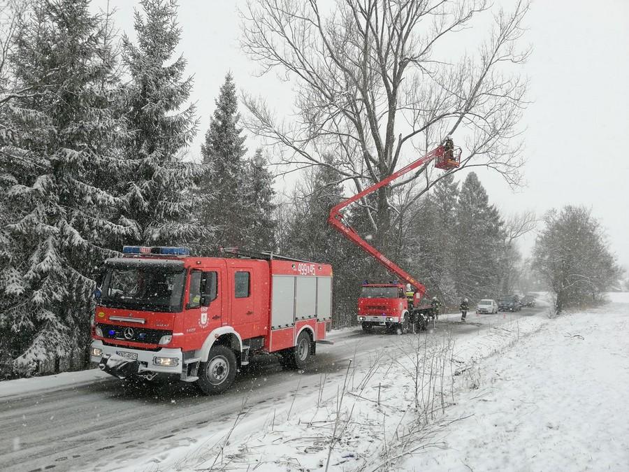 Strażacy usunęli wiszące gałęzie (zdjęcia)