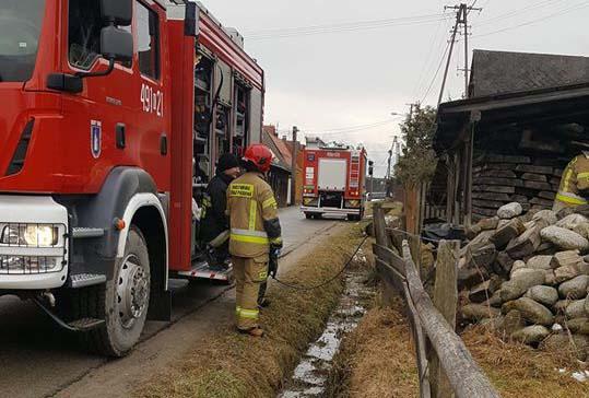 Bańska Niżna. Turyści wezwali strażaków na pomoc kotkowi, który utknął pod stertą desek